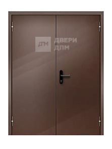 Противопожарная двустворчатая металлическая дверь двупольная с доводчиком и напылением (от пожара, 2 мм металла) ДП-243